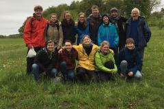 Wildkräutersammlung